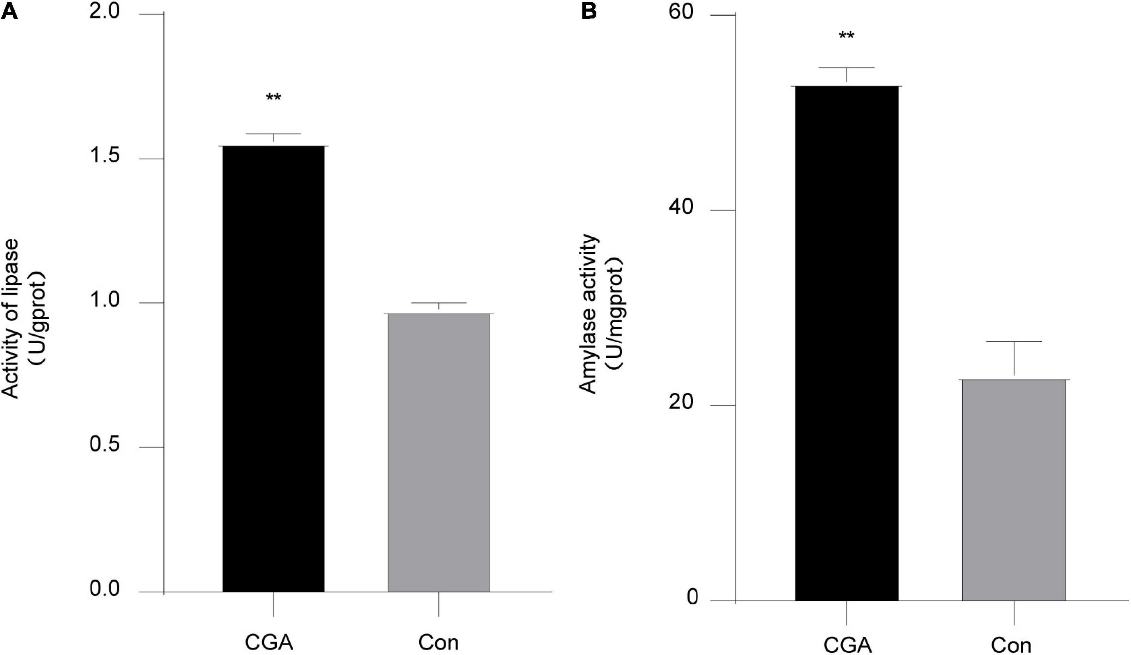 Effects of chlorogenic acid on growth, metabolism, antioxidation, immunity, and intestinal flora of crucian carp (Carassius auratus)